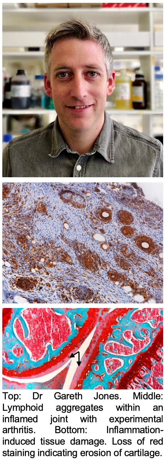 Dr Gareth Jones